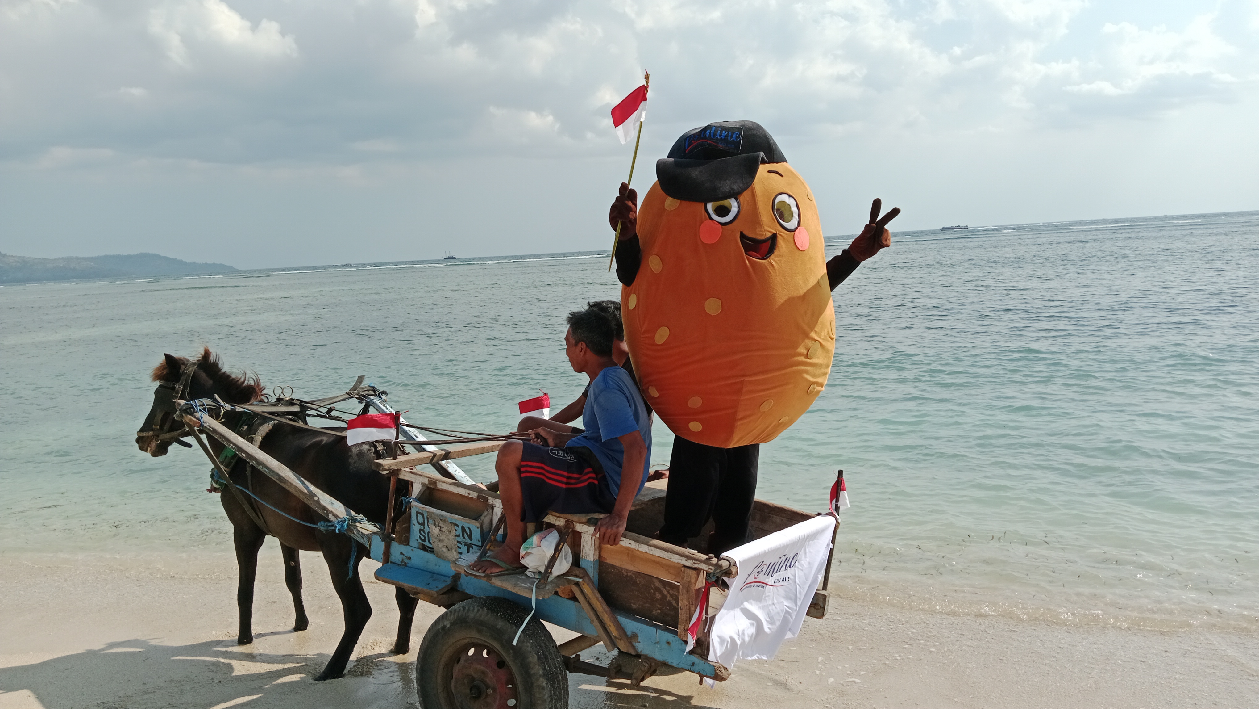 Poutine Gili Air - Meet Pom-Pom