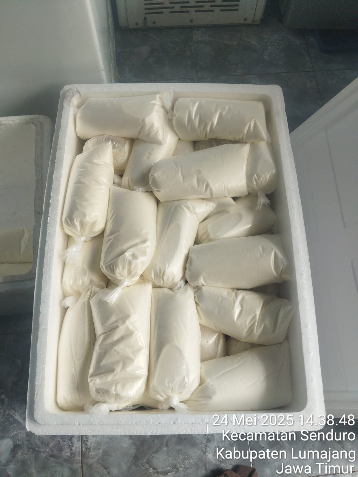 Poutine Gili Air - Making cheese curds